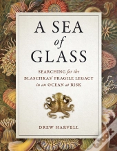 A Sea Of Glass