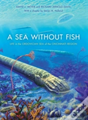 Capa do artigo A Sea Without Fish
