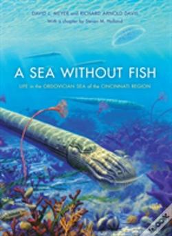 Capa do artigo A Sea Without Fish