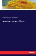 A Second Century Of Ferns