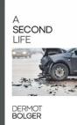 A Second Life - Preview