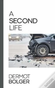Capa do artigo A Second Life
