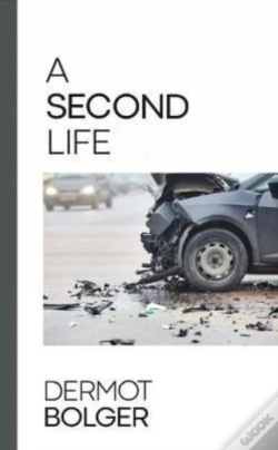 Capa do artigo A Second Life