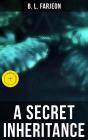 A Secret Inheritance - Preview