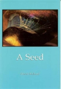 A Seed - Preview