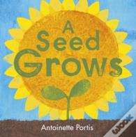 A Seed Grows