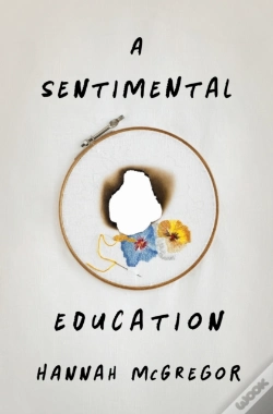 Capa do artigo A Sentimental Education