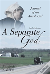 Capa do artigo A Separate God