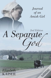 Capa do artigo A Separate God