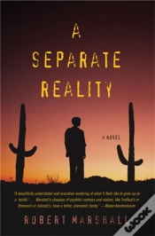 Capa do artigo A Separate Reality