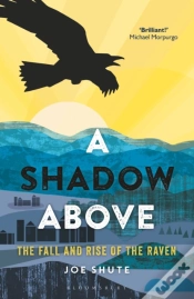 Capa do artigo A Shadow Above