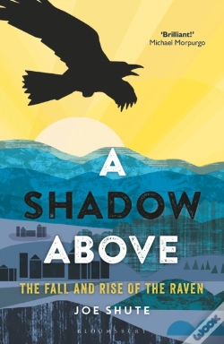 Capa do artigo A Shadow Above