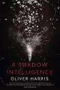 A Shadow Intelligence - Preview