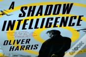 A Shadow Intelligence
