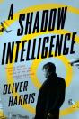 A Shadow Intelligence - Preview