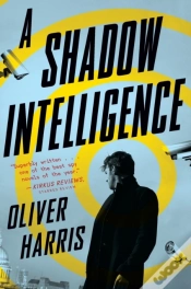 Capa do artigo A Shadow Intelligence