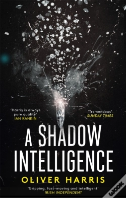 Capa do artigo A Shadow Intelligence
