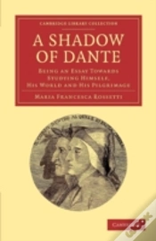 Capa do artigo A Shadow Of Dante