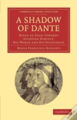 Capa do artigo A Shadow Of Dante