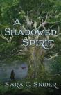 A Shadowed Spirit - Preview