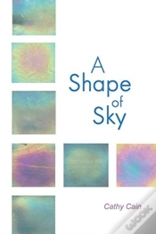 Capa do artigo A Shape Of Sky