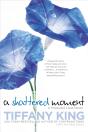 A Shattered Moment - Preview