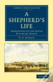 Capa do artigo A Shepherd
