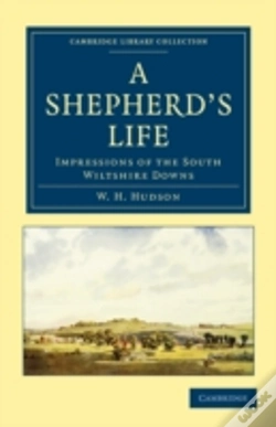Capa do artigo A Shepherd'S Life