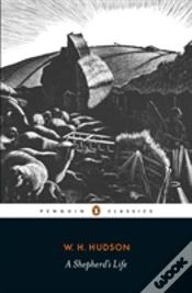 Capa do artigo A Shepherd