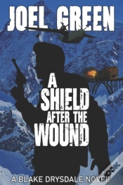 Capa do artigo A Shield After The Wound