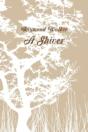 A Shiver - Preview