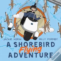 A Shorebird Flying Adventure