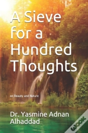 Capa do artigo A Sieve For A Hundred Thoughts
