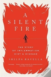 Capa do artigo A Silent Fire