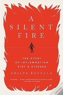 Capa do artigo A Silent Fire