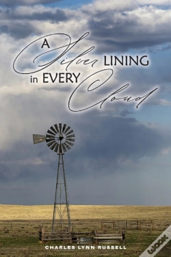 Capa do artigo A Silver Lining In Every Cloud