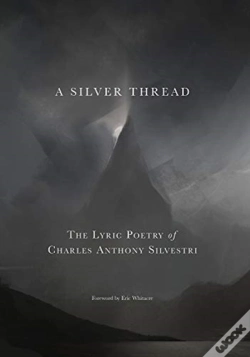 Capa do artigo A Silver Thread