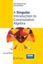 A Singular Introduction To Commutative Algebra - Preview