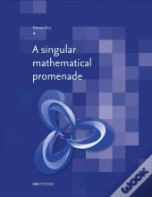 A Singular Mathematical Promenade