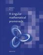 A Singular Mathematical Promenade - Preview