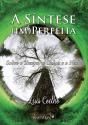 A Síntese (Im)Perfeita - Preview
