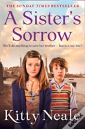 Capa do artigo A Sisterâ€™S Sorrow