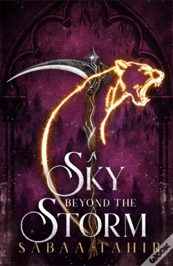 Capa do artigo A Sky Beyond The Storm