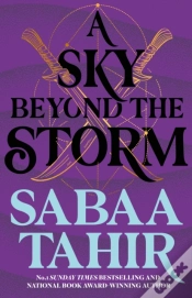 Capa do artigo A Sky Beyond The Storm