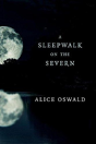 A Sleepwalk On The Severn - Preview