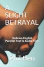 A Slight Betrayal - Preview