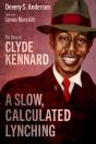 A Slow, Calculated Lynching - Preview