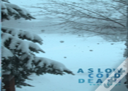 A Slow Cold Death