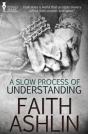 A Slow Process Of Understanding - Preview