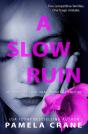 A Slow Ruin - Preview